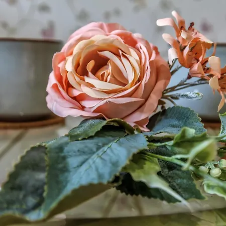 Appartamento Aromas De San Pedro